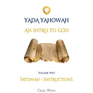 An Intro to God Volume 2 Chapter 5 part 3