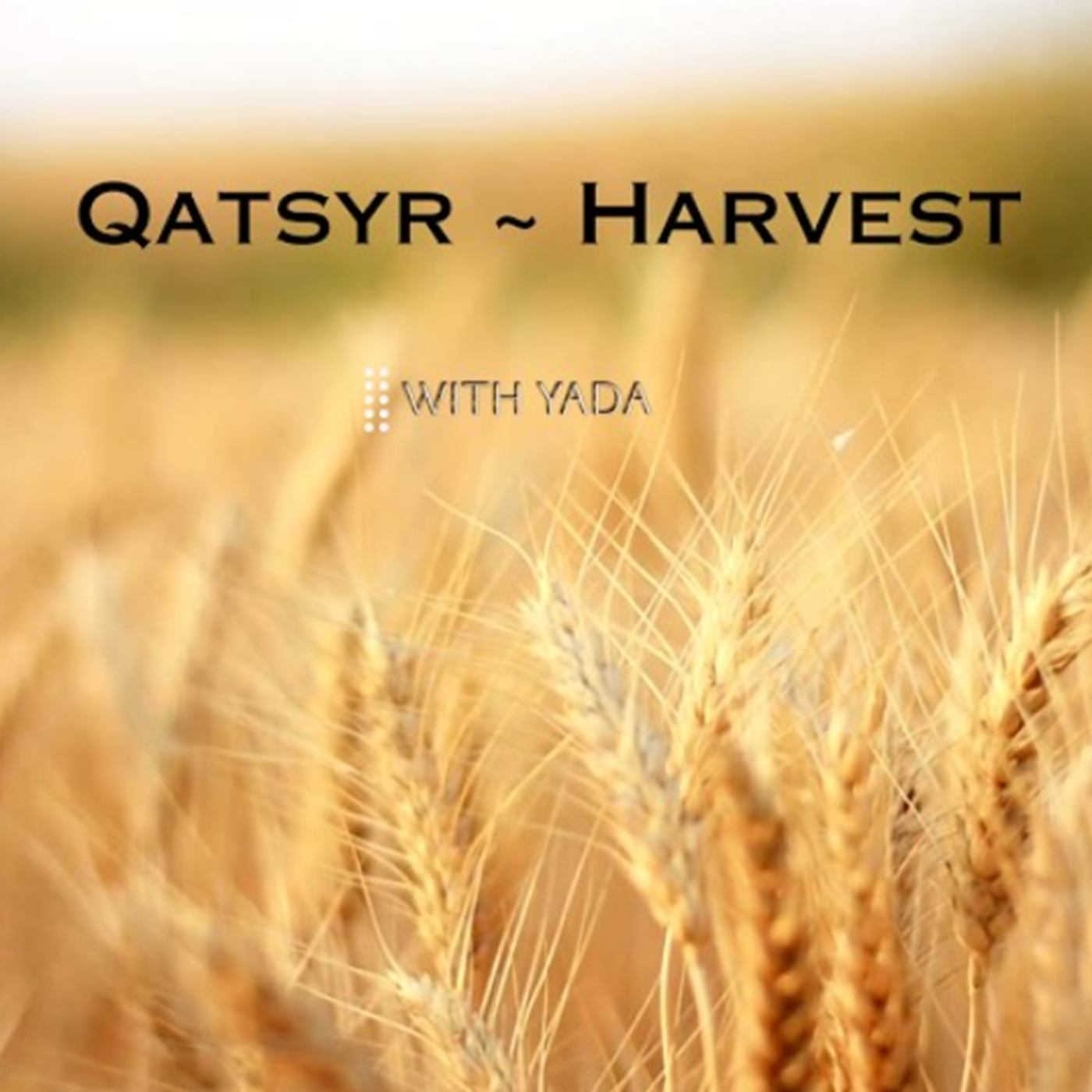 Qatsyr - Harvest - #17 episode artwork